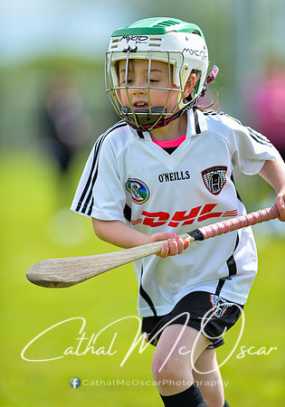 CD v Newbridge (22 of 111)