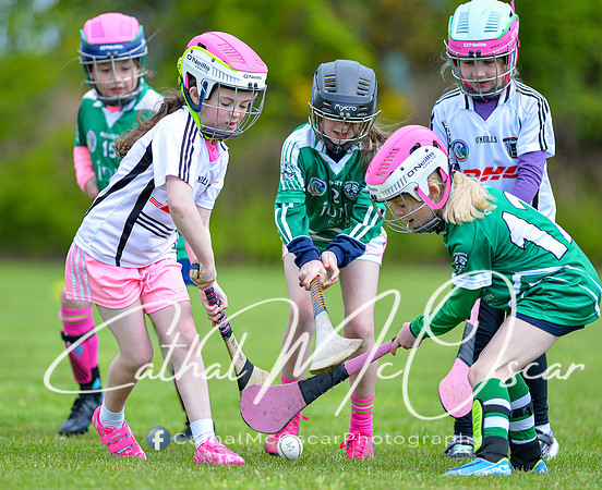 CD v Newbridge (25 of 111)