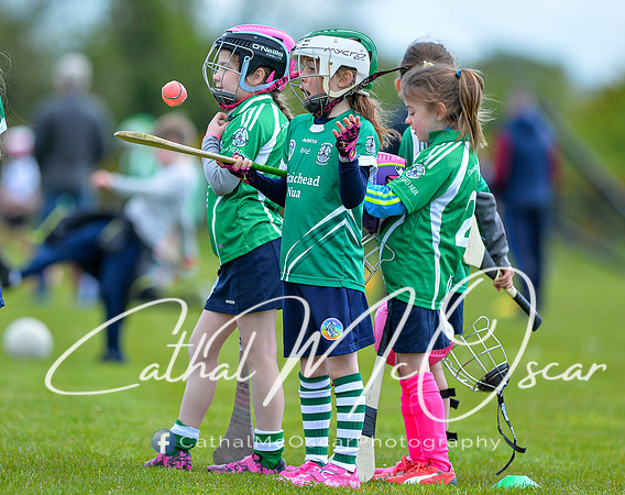 CD v Newbridge (26 of 111)