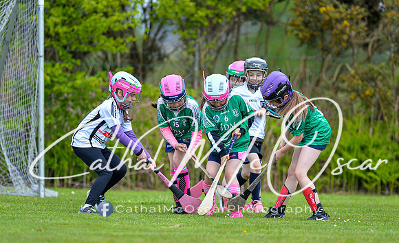 CD v Newbridge (27 of 111)