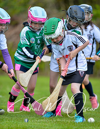 CD v Newbridge (30 of 111)