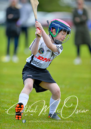 CD v Newbridge (31 of 111)