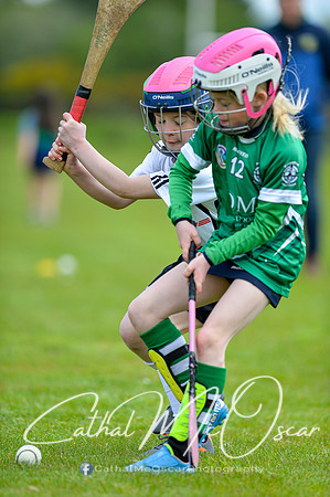 CD v Newbridge (32 of 111)