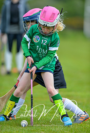 CD v Newbridge (33 of 111)