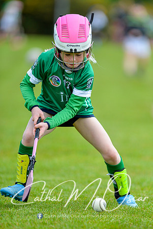 CD v Newbridge (34 of 111)