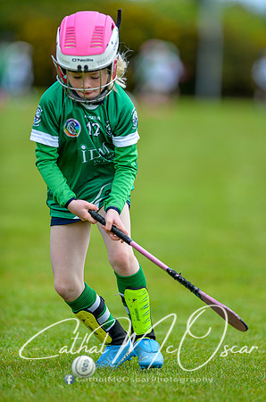 CD v Newbridge (35 of 111)