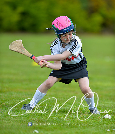 CD v Newbridge (36 of 111)