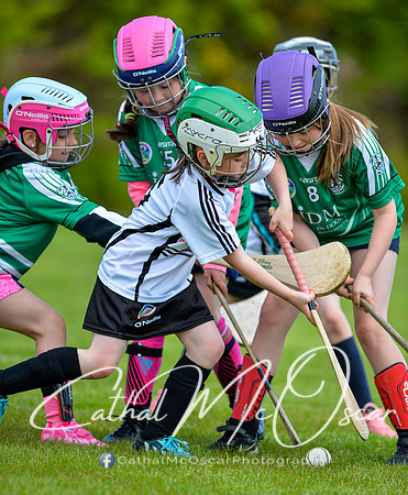 CD v Newbridge (37 of 111)