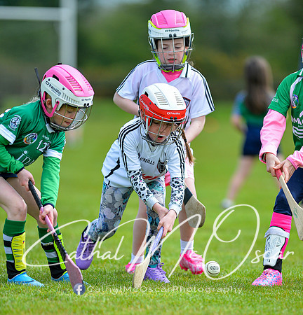 CD v Newbridge (38 of 111)