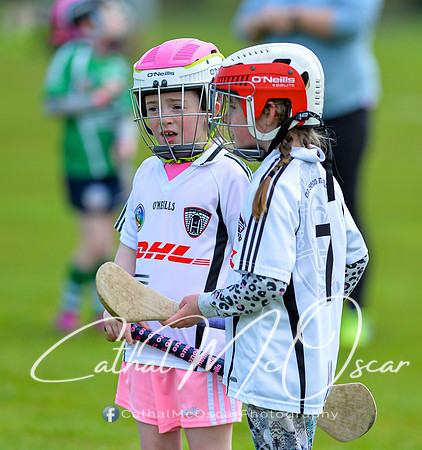 CD v Newbridge (41 of 111)