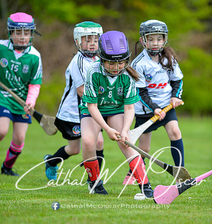 CD v Newbridge (40 of 111)