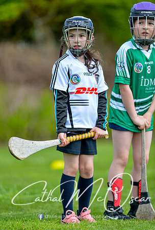 CD v Newbridge (42 of 111)