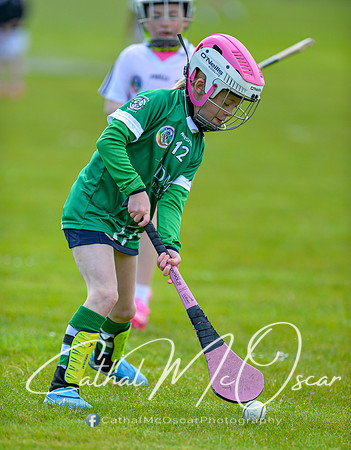 CD v Newbridge (44 of 111)
