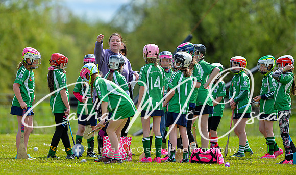 CD v Newbridge (46 of 111)