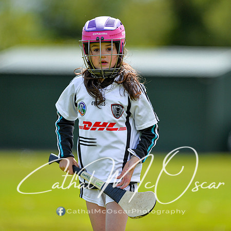 CD v Newbridge (48 of 111)