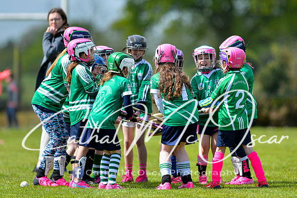 CD v Newbridge (49 of 111)