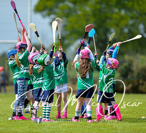 CD v Newbridge (50 of 111)