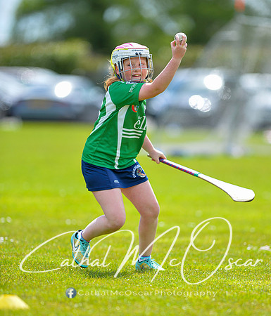 CD v Newbridge (54 of 111)