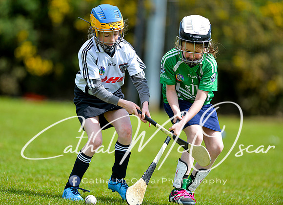 CD v Newbridge (53 of 111)