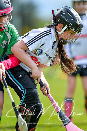 CD v Newbridge (55 of 111)