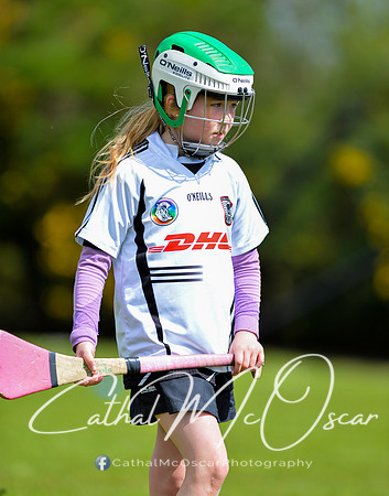 CD v Newbridge (59 of 111)