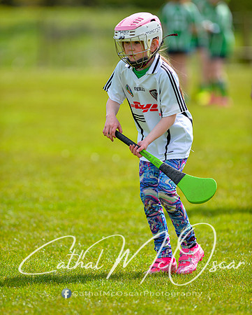 CD v Newbridge (63 of 111)