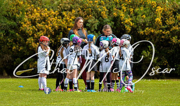 CD v Newbridge (75 of 111)