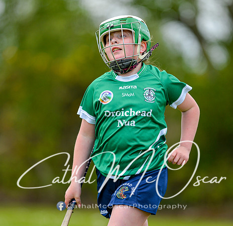 CD v Newbridge (72 of 111)