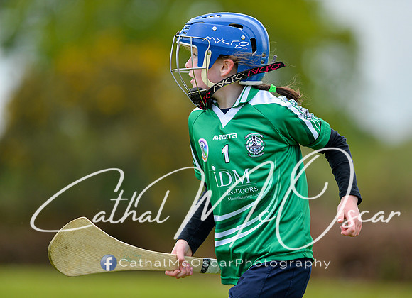 CD v Newbridge (73 of 111)