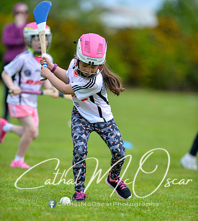 CD v Newbridge (84 of 111)