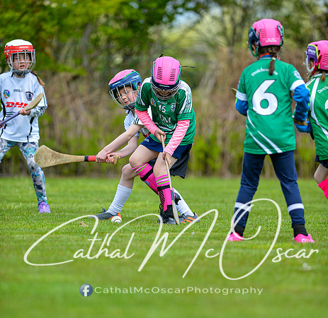 CD v Newbridge (86 of 111)