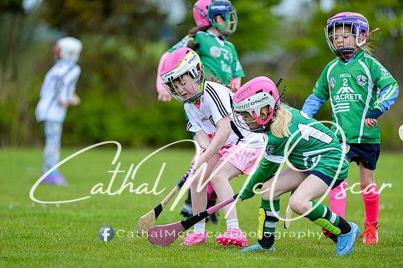 CD v Newbridge (90 of 111)