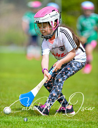 CD v Newbridge (94 of 111)