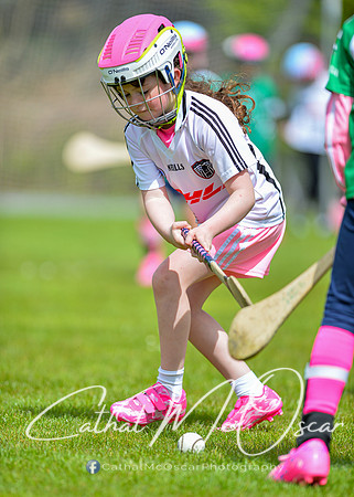 CD v Newbridge (95 of 111)