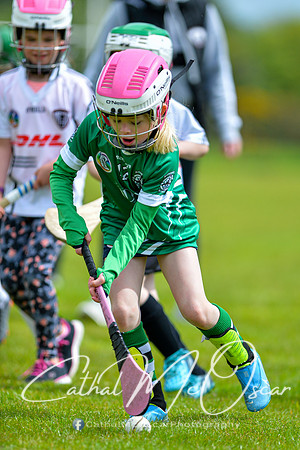 CD v Newbridge (98 of 111)