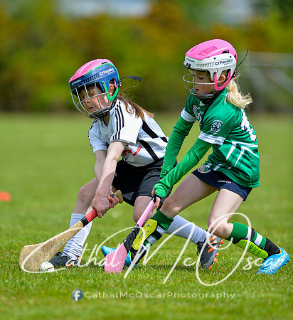 CD v Newbridge (101 of 111)
