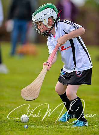 CD v Newbridge (67 of 111)