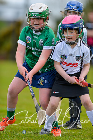 CD v Newbridge (70 of 111)