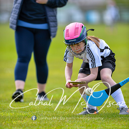 CD v Newbridge (5 of 111)