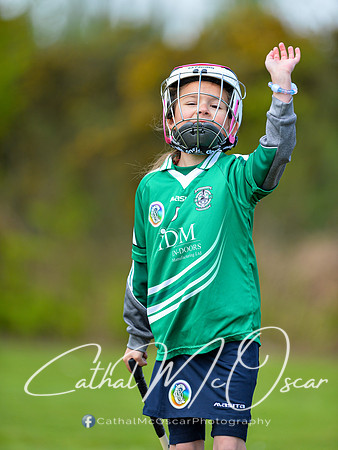 CD v Newbridge (7 of 111)