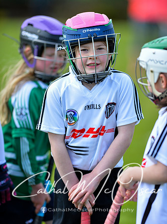 CD v Newbridge (8 of 111)