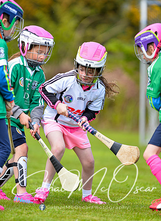 CD v Newbridge (6 of 111)