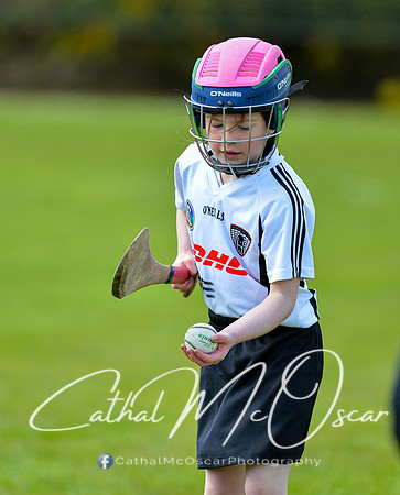 CD v Newbridge (14 of 111)