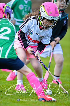 CD v Newbridge (10 of 111)