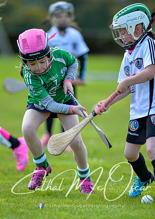 CD v Newbridge (12 of 111)