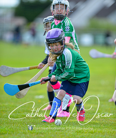 CD v Newbridge (13 of 111)