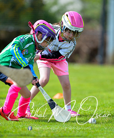 CD v Newbridge (16 of 111)