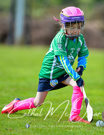 CD v Newbridge (17 of 111)