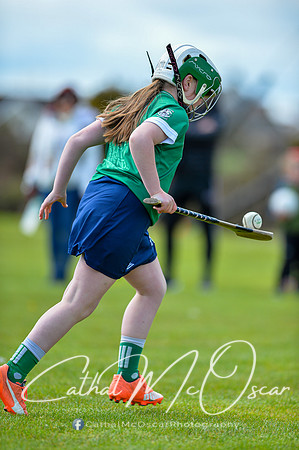 CD v Newbridge (15 of 111)