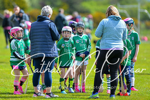 CD v Newbridge (18 of 111)